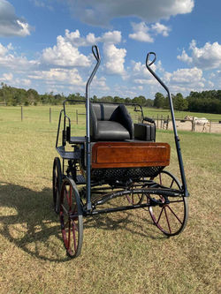 550172711_1332105238608703_6705197725964547364_n