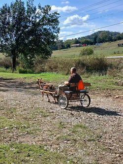 559940271_1351409206678306_8398934792989686723_n