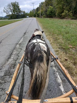 565895926_1351412336677993_469433801692559387_n