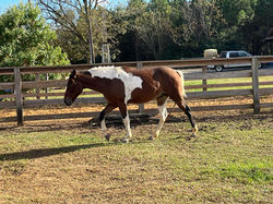 397458152_873893534429878_3921058834888494103_n