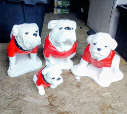 564627631_1352225313263362_2028731358196158830_n