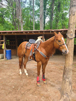 557698610_1340393627779864_5849048708077342381_n