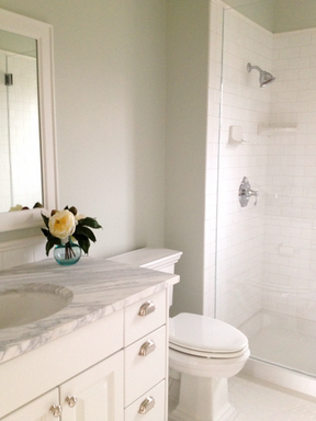 lynn guest bath_edited.png