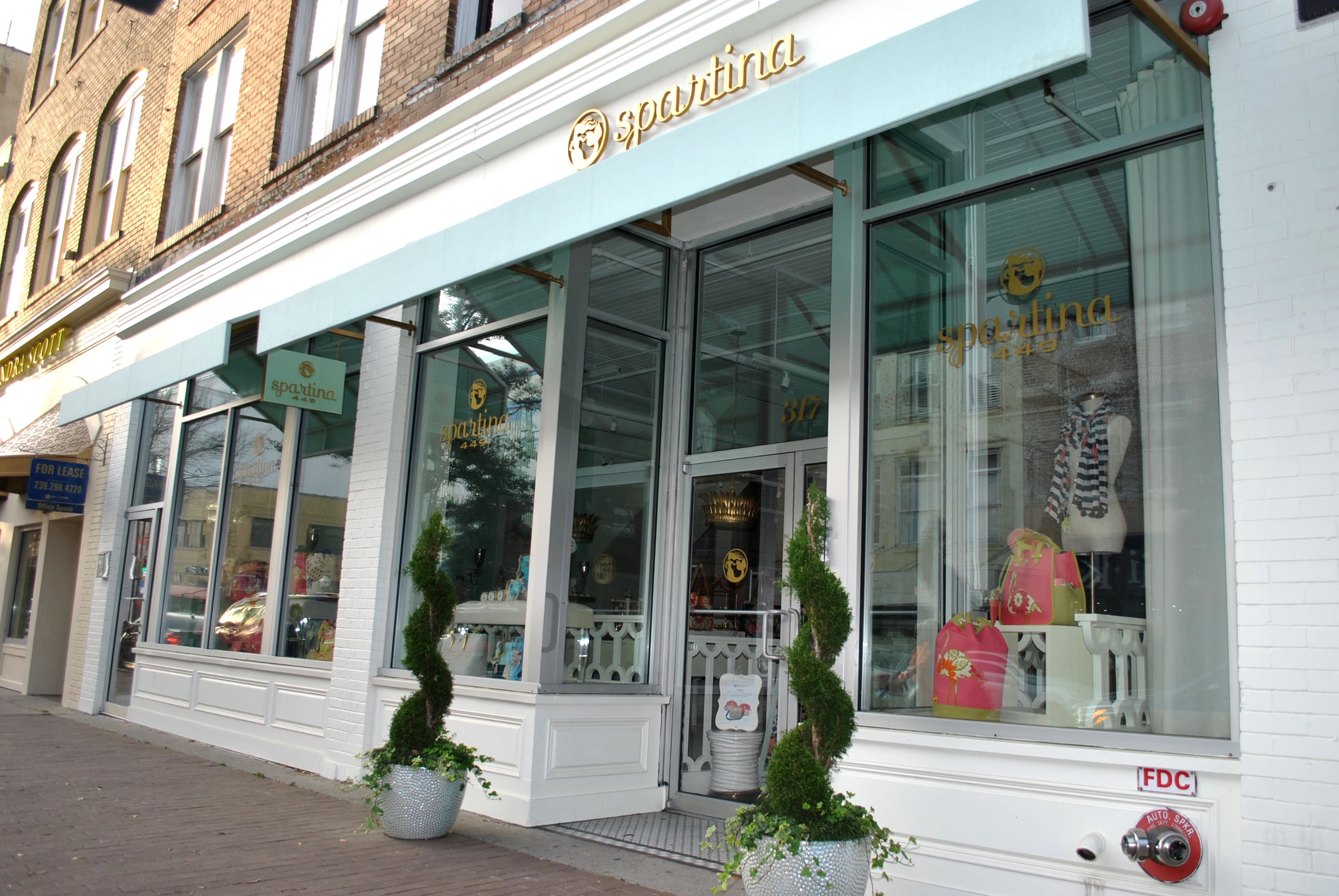 Spartina 449