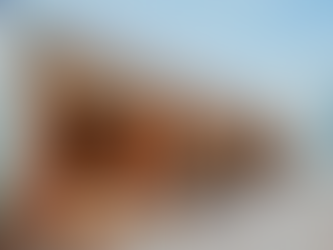 Welcoming Taste My Aruba: A Celebration of Culinary Heritage