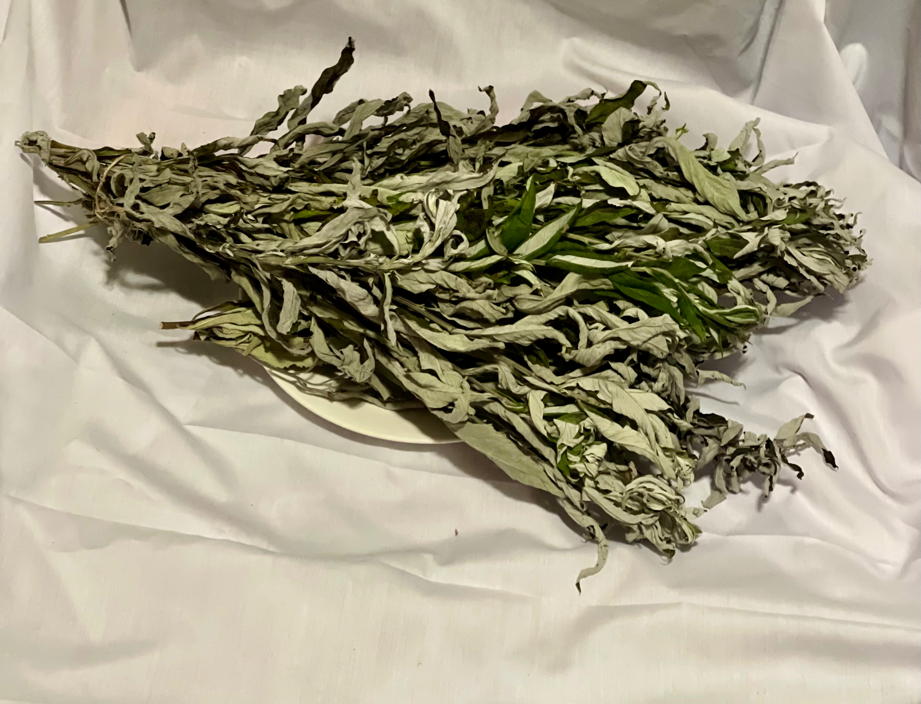 Ethically Wild Crafted Yerba Santa