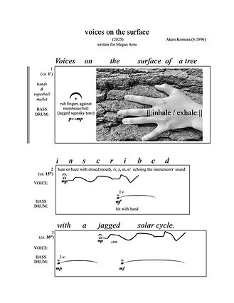 voice on the surface_ver11 (2025).jpg