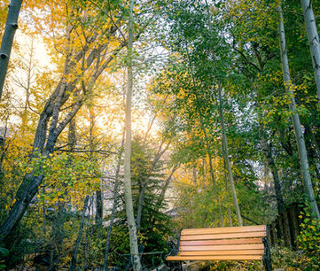 Bench and fire under aspens in an intimate mountain inn and wedding venue