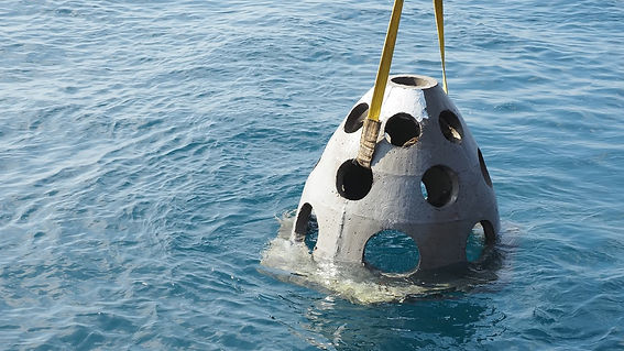 Reef Ball.jpeg