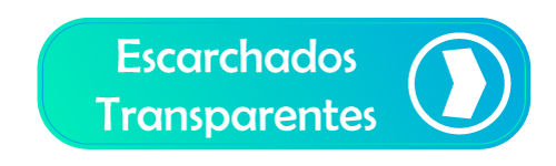 ESCARCHADOS-TRANSP.jpg