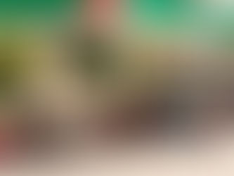 Las medidas para enfrentar el alza de los precios del combustible