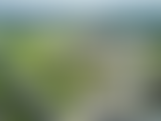 Acuerdo EE.UU. – Argentina: ¿cómo cambiará la industria automotriz con el nuevo acceso preferencial?