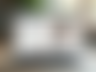 Discover Affordable Web Design Services for Growing Businesses