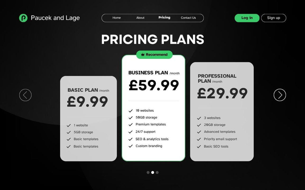 Paucek and Lage website pricing plans: Basic £9.99, Business £59.99, Professional £29.99; custom website design