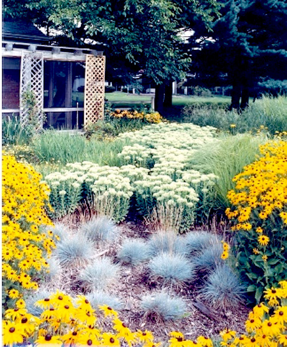 How does your garden grow?
