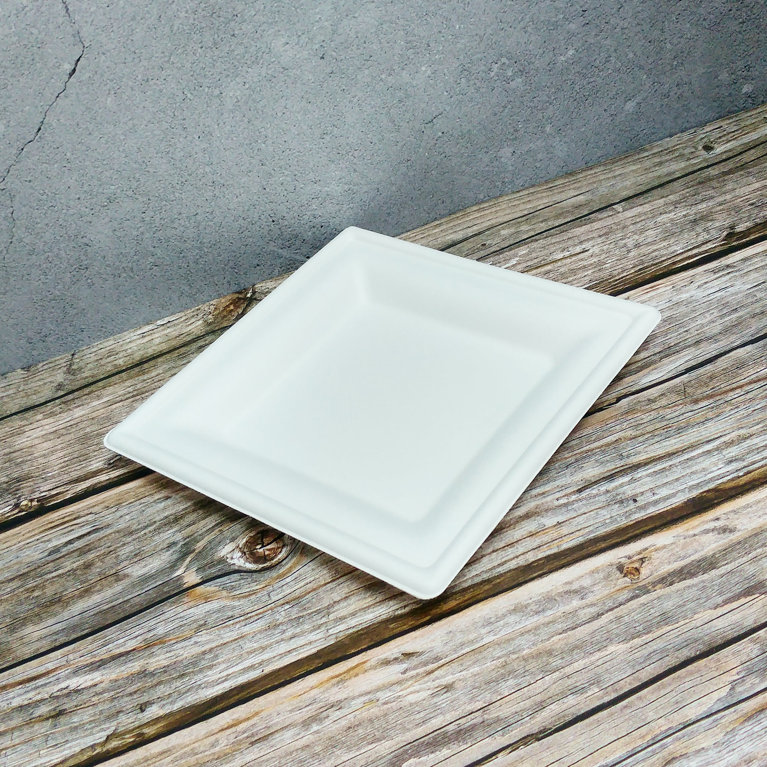 10" Square Plate - 1000pcs/ctn