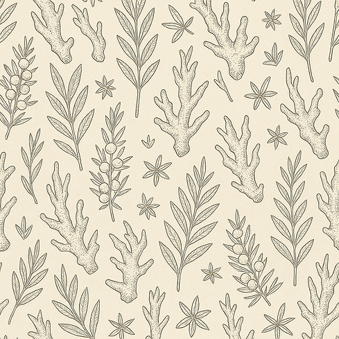 a50e7796-a200-47f9-bfb8-864c30f8b4b6.png