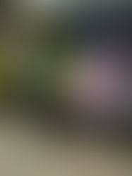 Obertes les inscripcions al grup de Teatre Fòrum Intercultural amb Casa Àsia