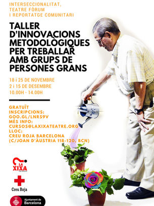 Taller d'Innovacions Metodològiques per a Professionals que Treballen amb Persones Grans