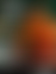 Taller Lukas Avendaño