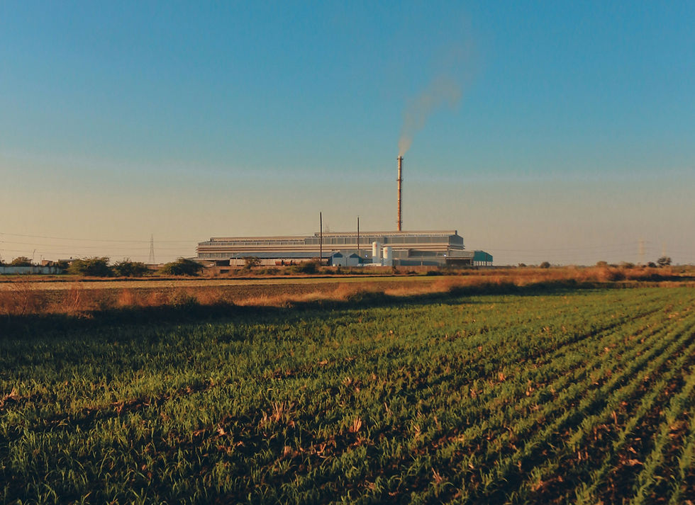 Usine en pleine campagne, symbole d’une industrie durable et territoriale