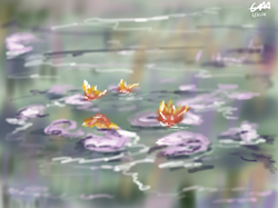 Water Lilies
