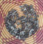 Iroquois Skunk Bean