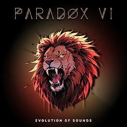 paradox vi_.jpeg