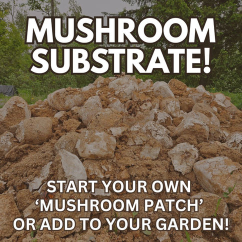 A large pile of mushroom grow blocks with the caption ' Mushroom Substrate - start your own mushroom patch or add to your garden'