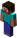 Steve.png