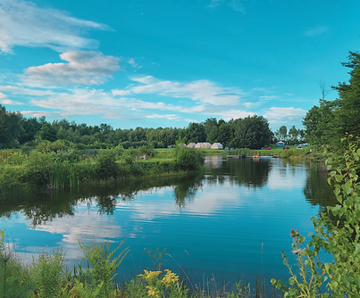 memberships  (1).png