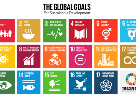 Implementing UN Sustainable Development Goals (SDGs): Are we DOING enough?