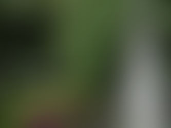 O que fazer no Garden Park Gramado? Conheça as experiências do parque