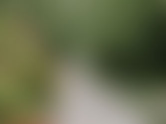 Como ir ao Garden Park Gramado? Descubra as melhores opções de transporte