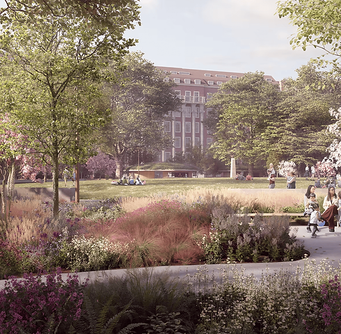 Grosvenor Square Gardens landscape transformation enhancing biodiversity in central London