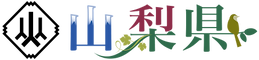 b1.png