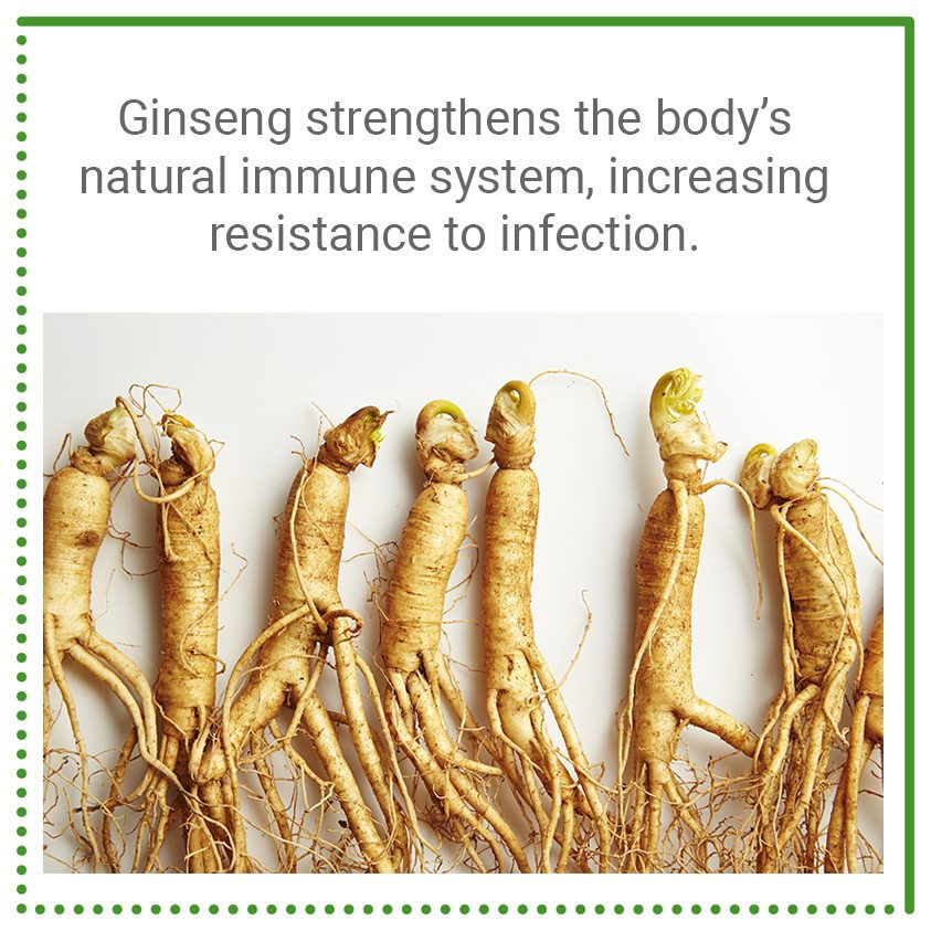 natural support ginseng