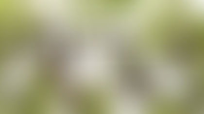 Natural Skincare Products: A Beginners Guide