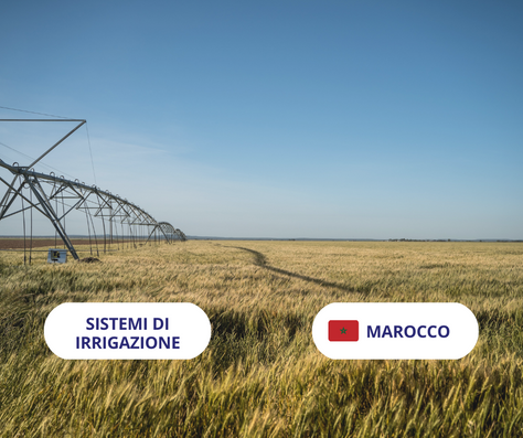 SCADUTA - Cercasi fornitore di sistemi di irrigazione e attrezzi per l'agricoltura