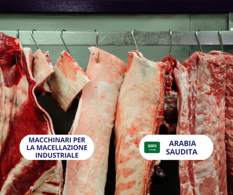 SCADUTA - Cercasi produttore italiano di macchinari per la macellazione industriale