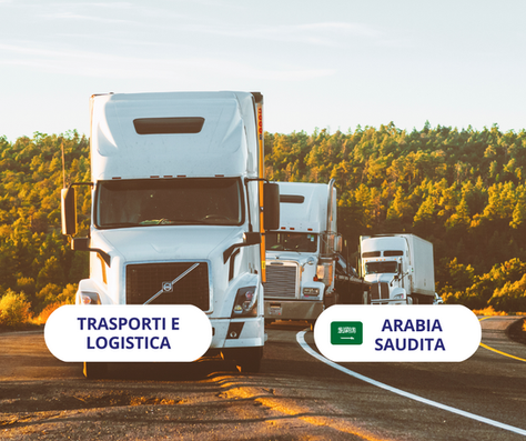 SCADUTA - Cercasi azienda italiana di trasporti 