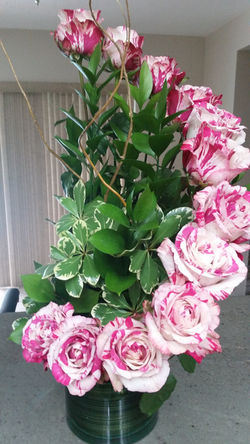 Pink & White Cascade