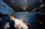 Mercury Lounge