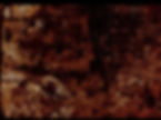 BURNT UMBER TEXTURE.jpeg