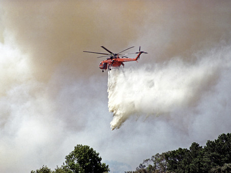 ANZ pledges $1 million for bushfire relief