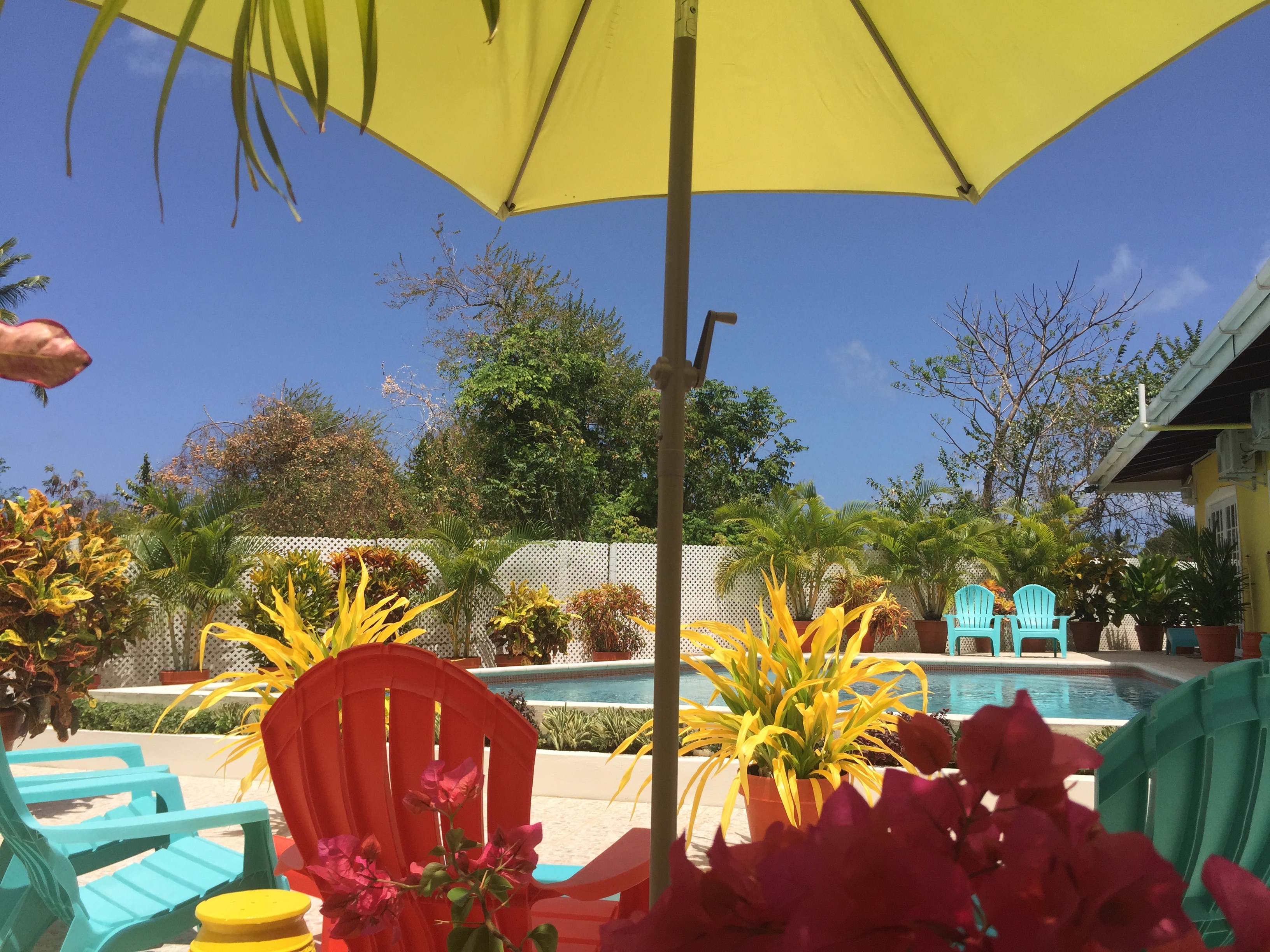 Poolside...