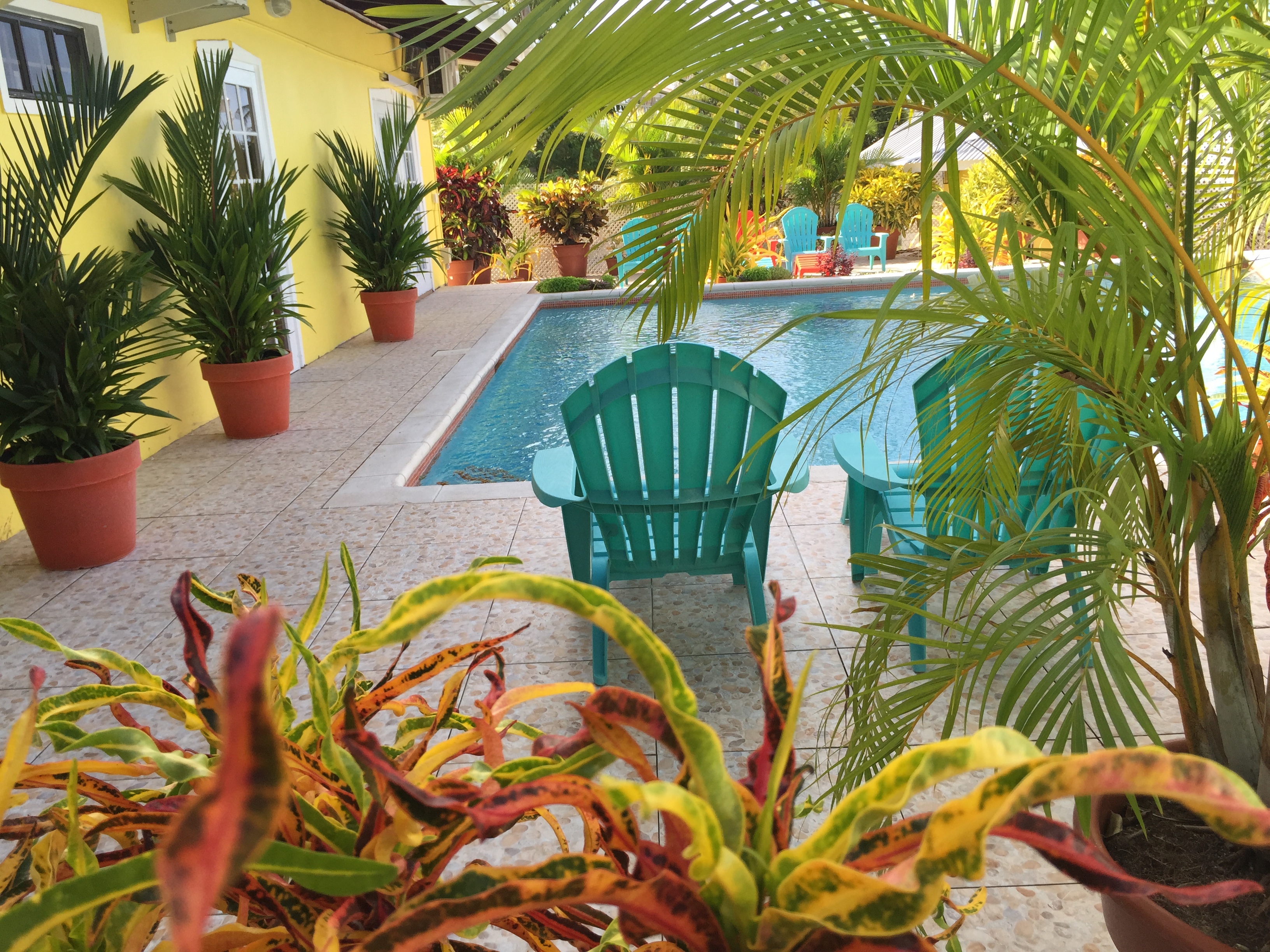 Poolside...