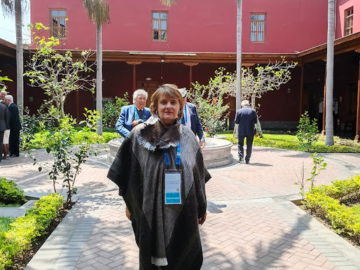 II CONVENCIÓN DE LA RED PANHISPÁNICA DE LENGUAJE CLARO Y ACCESIBLE Y X CONGRESO INTERNACIONAL DE LA LENGUA ESPAÑOLA