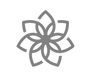 Lotus_KATAARO_edited.png