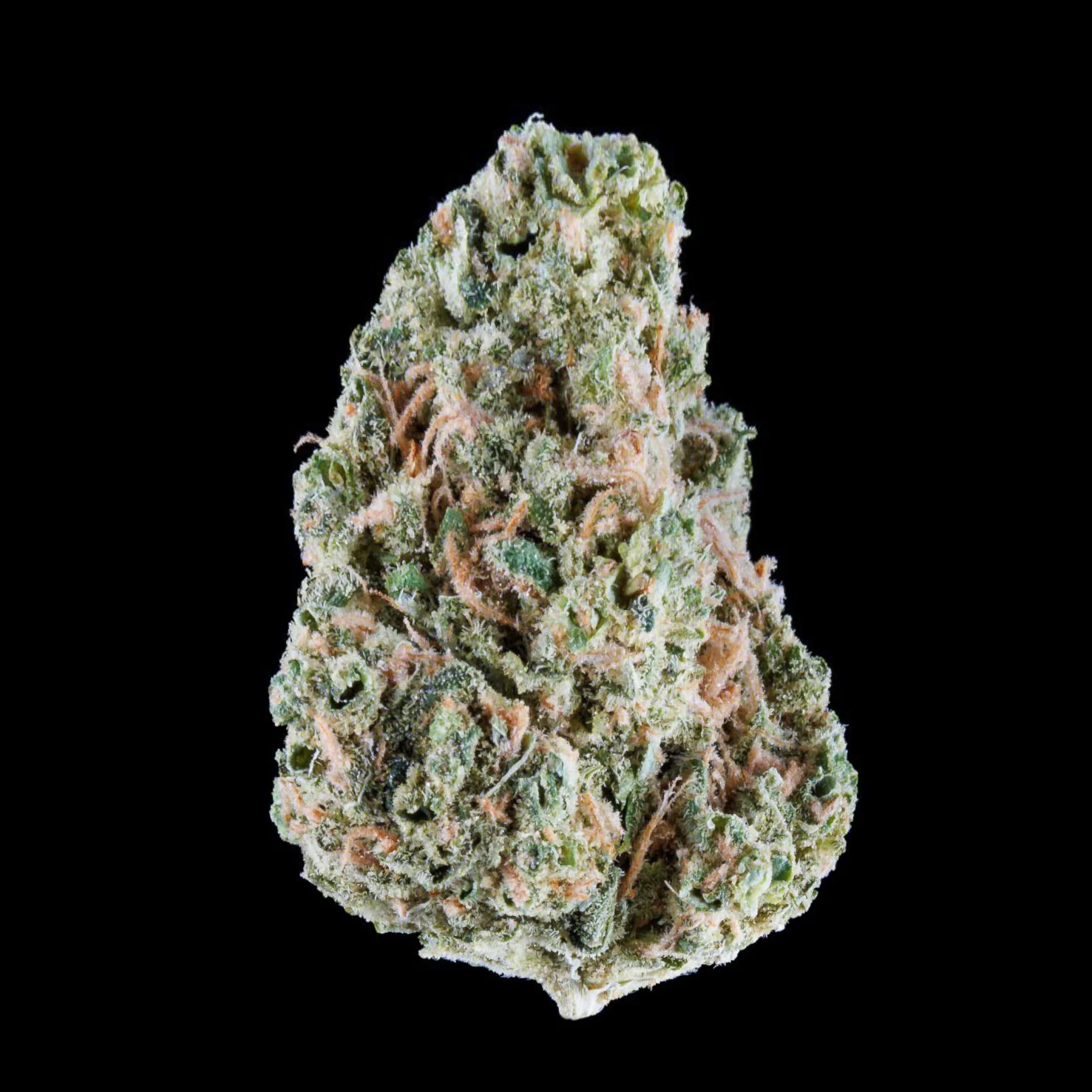 Og Weed Strain Meaning Og Weed Strain Meaning